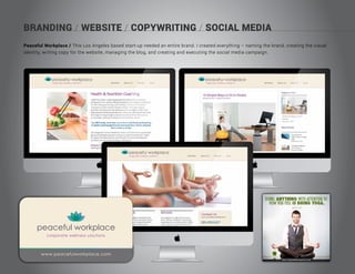 BRANDING / WEBSITE / COPYWRITING / SOCIAL MEDIA
Peaceful Workplace / This Los Angeles based start-up needed an entire brand. I created everything – naming the brand, creating the visual
identity, writing copy for the website, managing the blog, and creating and executing the social media campaign.
 