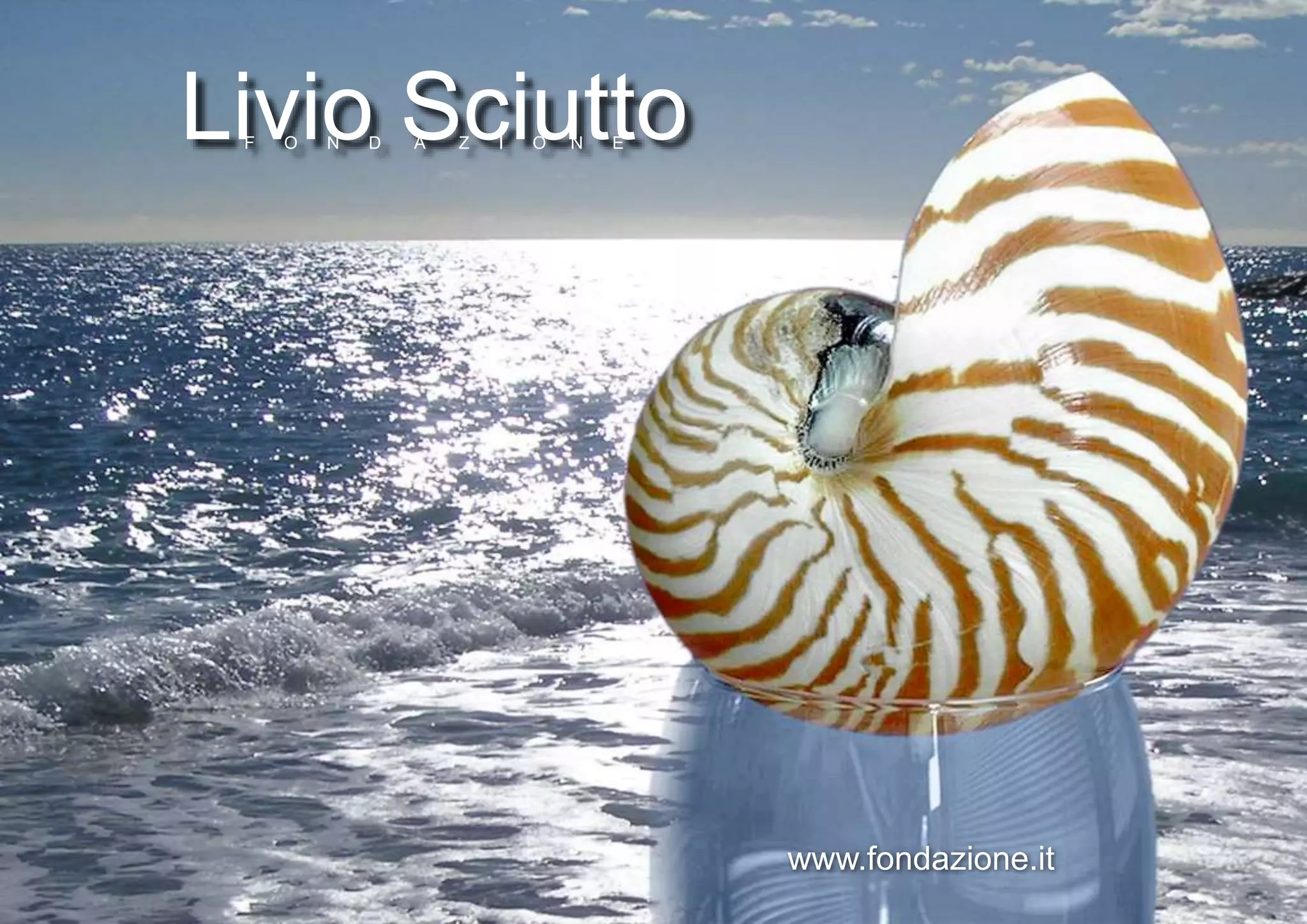 Livio SciuttoF O N D A Z I O N E
www.fondazione.it
 