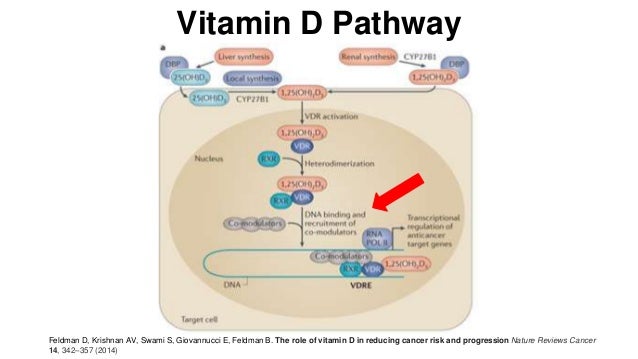 Nature Reviews Cancer Nature Reviews Cancer