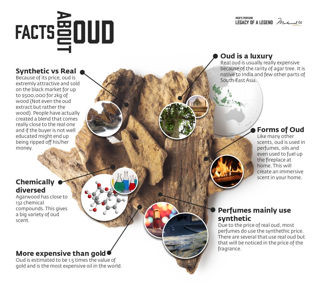 6 facts about oud