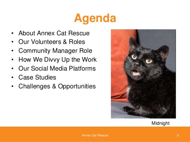 Annex Cat Rescue Hours Annex Cat Rescue Hours