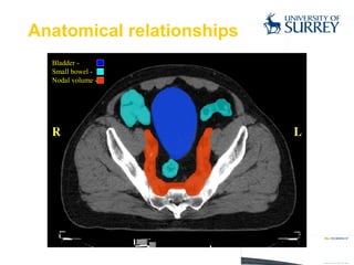 Anatomical relationships 