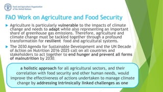 FAO Work on Agriculture and Food Security
 Agriculture is particularly vulnerable to the impacts of climate
change and ne...
