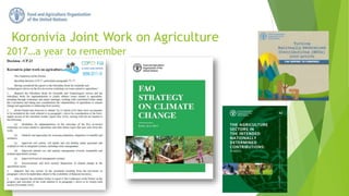 2017…a year to remember
Koronivia Joint Work on Agriculture
 