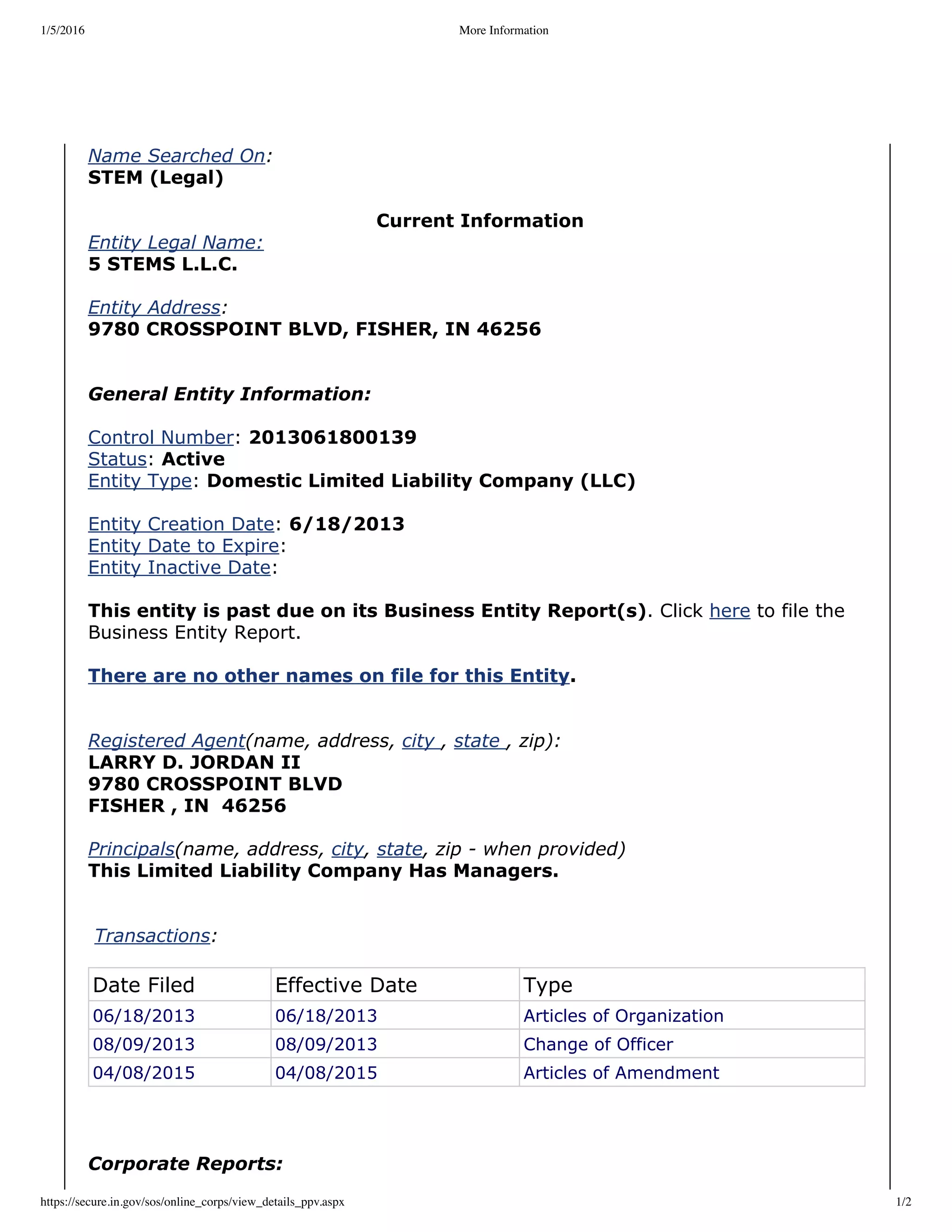 5 Stems - MM - More Information | PDF