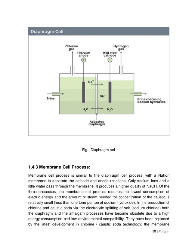 Project paper on ChlorAlkali process