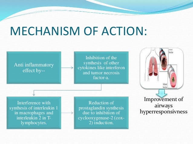 final ICH ppt (2)(1) final ICH ppt (2)(1)