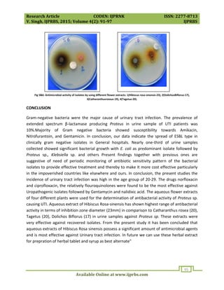 Research Article CODEN: IJPRNK ISSN: 2277-8713
V. Singh, IJPRBS, 2015; Volume 4(2): 91-97 IJPRBS
Available Online at www.ijprbs.com
95
Fig 5&6: Antimicrobial activity of isolates by using different flower extracts: 1(Hibiscus rosa-sinensis-23), 2(DolichosBiflorus-17),
3(Catharanthusroseus-19), 4(Tagetus-20).
CONCLUSION
Gram-negative bacteria were the major cause of urinary tract infection. The prevalence of
extended spectrum β-lactamase producing Proteus in urine sample of UTI patients was
10%.Majority of Gram negative bacteria showed susceptibility towards Amikacin,
Nitrofurantoin, and Gentamicin. In conclusion, our data indicate the spread of ESBL type in
clinically gram negative isolates in General hospitals. Nearly one-third of urine samples
collected showed significant bacterial growth with E. coli as predominant isolate followed by
Proteus sp., Klebsiella sp. and others Present findings together with previous ones are
suggestive of need of periodic monitoring of antibiotic sensitivity pattern of the bacterial
isolates to provide effective treatment and thereby to make it more cost effective particularly
in the impoverished countries like elsewhere and ours. In conclusion, the present studies the
incidence of urinary tract infection was high in the age group of 20-29. The drugs norfloxacin
and ciprofloxacin, the relatively flouroquinolones were found to be the most effective against
Uropathogenic isolates followed by Gentamycin and nalidixic acid. The aqueous flower extracts
of four different plants were used for the determination of antibacterial activity of Proteus sp.
causing UTI. Aqueous extract of Hibiscus Rosa-sinensis has shown highest range of antibacterial
activity in terms of inhibition zone diameter (23mm) in comparison to Catharanthus rosea (20),
Tagetus (20), Dolichos Biflorus (17) in urine samples against Proteus sp. These extracts were
very effective against recovered isolates. From the present study it has been concluded that
aqueous extracts of Hibiscus Rosa sinensis possess a significant amount of antimicrobial agents
and is most effective against Urinary tract infection. In future we can use these herbal extract
for prepration of herbal tablet and syrup as best alternate"
 