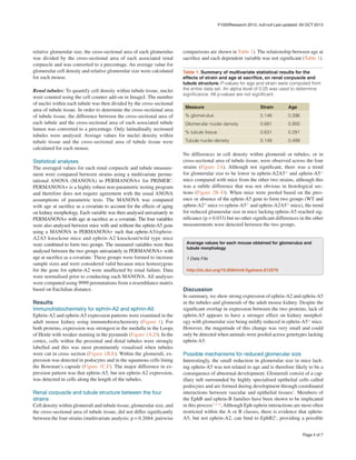 comparisons are shown in Table 1). The relationship between age at
sacrifice and each dependent variable was not significant (Table 1).
relative glomerular size, the cross-sectional area of each glomerulus
was divided by the cross-sectional area of each associated renal
corpuscle and was converted to a percentage. An average value for
glomerular cell density and relative glomerular size were calculated
for each mouse.
Renal tubules: To quantify cell density within tubule tissue, nuclei
were counted using the cell counter add-on in ImageJ. The number
of nuclei within each tubule was then divided by the cross-sectional
area of tubule tissue. In order to determine the cross-sectional area
of tubule tissue, the difference between the cross-sectional area of
each tubule and the cross-sectional area of each associated tubule
lumen was converted to a percentage. Only latitudinally sectioned
tubules were analysed. Average values for nuclei density within
tubule tissue and the cross-sectional area of tubule tissue were
calculated for each mouse.
Statistical analyses
The averaged values for each renal corpuscle and tubule measure-
ment were compared between strains using a multivariate permu-
tational ANOVA (MANOVA) in PERMANOVA+ for PRIMER8
.
PERMANOVA+ is a highly robust non-parametric testing program
and therefore does not require agreement with the usual ANOVA
assumptions of parametric tests. The MANOVA was computed
with age at sacrifice as a covariate to account for the effects of aging
on kidney morphology. Each variable was then analysed univariately in
PERMANOVA+ with age at sacrifice as a covariate. The four variables
were also analysed between mice with and without the ephrin-A5 gene
using a MANOVA in PERMANOVA+ such that ephrin-A5/ephrin-
A2A5 knockout mice and ephrin-A2 knockout/wild type mice
were combined to form two groups. The measured variables were then
analysed between the two groups univariately in PERMANOVA+ with
age at sacrifice as a covariate. These groups were formed to increase
sample sizes and were considered valid because mice homozygous
for the gene for ephrin-A2 were unaffected by renal failure. Data
were normalised prior to conducting each MANOVA. All analyses
were computed using 9999 permutations from a resemblance matrix
based on Euclidian distance.
Results
Immunohistochemistry for ephrin-A2 and ephrin-A5
Ephrin-A2 and ephrin-A5 expression patterns were examined in the
adult mouse kidney using immunohistochemistry (Figure 1). For
both proteins, expression was strongest in the medulla in the Loops
of Henle with weaker staining in the pyramids (Figure 1A,D). In the
cortex, cells within the proximal and distal tubules were strongly
labelled and this was most prominently visualised when tubules
were cut in cross section (Figure 1B,E). Within the glomeruli, ex-
pression was detected in podocytes and in the squamous cells lining
the Bowman’s capsule (Figure 1C,F). The major difference in ex-
pression pattern was that ephrin-A5, but not ephrin-A2 expression,
was detected in cells along the length of the tubules.
Renal corpuscle and tubule structure between the four
strains
Cell density within glomeruli and tubule tissue, glomerular size, and
the cross-sectional area of tubule tissue, did not differ significantly
between the four strains (multivariate analysis: p = 0.2684; pairwise
Table 1. Summary of multivariate statistical results for the
effects of strain and age at sacrifice, on renal corpuscle and
tubule structure. P-values for age and strain were computed from
the entire data set. An alpha level of 0.05 was used to determine
significance. All p-values are not significant.
Measure Strain Age
% glomerulus 0.146 0.396
Glomerular nuclei density 0.681 0.900
% tubule tissue 0.631 0.291
Tubule nuclei density 0.149 0.499
No differences in cell density within glomeruli or tubules, or in
cross-sectional area of tubule tissue, were observed across the four
strains (Figure 2A). Although not significant, there was a trend
for glomerular size to be lower in ephrin-A2A5-/-
and ephrin-A5-/-
mice compared with mice from the other two strains, although this
was a subtle difference that was not obvious in histological sec-
tions (Figure 2B–D). When mice were pooled based on the pres-
ence or absence of the ephrin-A5 gene to form two groups (WT and
ephrin-A2-/-
mice vs ephrin-A5-/-
and ephrin-A2A5-/-
mice), the trend
for reduced glomerular size in mice lacking ephrin-A5 reached sig-
nificance (p = 0.033) but no other significant differences in the other
measurements were detected between the two groups.
Average values for each mouse obtained for glomerulus and
tubule morphology
1 Data File
http://dx.doi.org/10.6084/m9.figshare.812579
Discussion
In summary, we show strong expression of ephrin-A2 and ephrin-A5
in the tubules and glomeruli of the adult mouse kidney. Despite the
significant overlap in expression between the two proteins, lack of
ephrin-A5 appears to have a stronger effect on kidney morphol-
ogy with glomerular size being mildly reduced in ephrin-A5-/-
mice.
However, the magnitude of this change was very small and could
only be detected when animals were pooled across genotypes lacking
ephrin-A5.
Possible mechanisms for reduced glomerular size
Interestingly, the small reduction in glomerular size in mice lack-
ing ephrin-A5 was not related to age and is therefore likely to be a
consequence of abnormal development. Glomeruli consist of a cap-
illary tuft surrounded by highly specialised epithelial cells called
podocytes and are formed during development through coordinated
interactions between vascular and epithelial tissues9
. Members of
the EphB and ephrin-B families have been shown to be implicated
in this process2–4,10
,Although Eph-ephrin interactions are most often
restricted within the A or B classes, there is evidence that ephrin-
A5, but not ephrin-A2, can bind to EphB26
, providing a possible
Page 4 of 7
F1000Research 2013, null:null Last updated: 09 OCT 2013
 