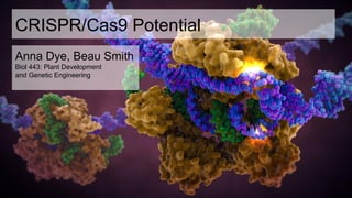 CRISPR/Cas9 Potential
Anna Dye, Beau Smith
Biol 443: Plant Development
and Genetic Engineering
 