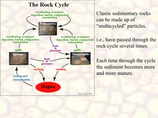 Clastic sedimentary rocks
can be made up of
“multicycled” particles.
i.e., have passed through the
rock cycle several times.
Each time through the cycle
the sediment becomes more
and more mature.
 