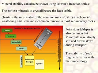 Mineral stability can also be shown using Bowen’s Reaction series:
The earliest minerals to crystallize are the least stable.
Quartz is the most stable of the common mineral; it resists chemcial
weathering and is the most common mineral in most sedimentary rocks.
Potassium feldspar is
also common but
Muscovite is relatively
soft and breaks down
during transport.
The stability of rock
fragments varies with
their mineralogy.
 