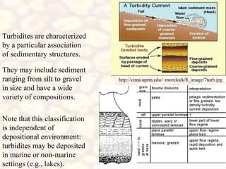 http://cima.uprm.edu/~morelock/8_image/7turb.jpg
Turbidites are characterized
by a particular association
of sedimentary structures.
They may include sediment
ranging from silt to gravel
in size and have a wide
variety of compositions.
Note that this classification
is independent of
depositional environment:
turbidites may be deposited
in marine or non-marine
settings (e.g., lakes).
 