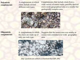 Polymictic
conglomerate
Conglomerates that include clasts from a
wide-variety of source rocks, possibly derived
over a wide geographical area or a smaller but
geologically complex area.
Oligomictic
conglomerate
Suggests that the source area was nearby or
source rock extended over wide geographic
area.
A conglomerate in which
clasts include several
different rock types.
A conglomerate in which
the clasts are made up of
only one rock type.
http://graduate.eas.ualberta.ca/rhartlaub/Rae/QPL.JPG
 