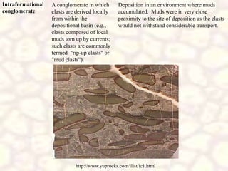 Intraformational
conglomerate
http://www.yuprocks.com/ilist/ic1.html
A conglomerate in which
clasts are derived locally
from within the
depositional basin (e.g.,
clasts composed of local
muds torn up by currents;
such clasts are commonly
termed "rip-up clasts" or
"mud clasts").
Deposition in an environment where muds
accumulated. Muds were in very close
proximity to the site of deposition as the clasts
would not withstand considerable transport.
 