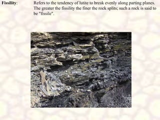 Fissility: Refers to the tendency of lutite to break evenly along parting planes.
The greater the fissility the finer the rock splits; such a rock is said to
be "fissile".
 