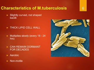 6
Characteristics of M.tuberculosis
► Slightly curved, rod shaped
bacilli
► THICK LIPID CELL WALL
► Multiplies slowly (every 18 - 24
hrs)
► CAN REMAIN DORMANT
FOR DECADES
► Aerobic
► Non-motile
 