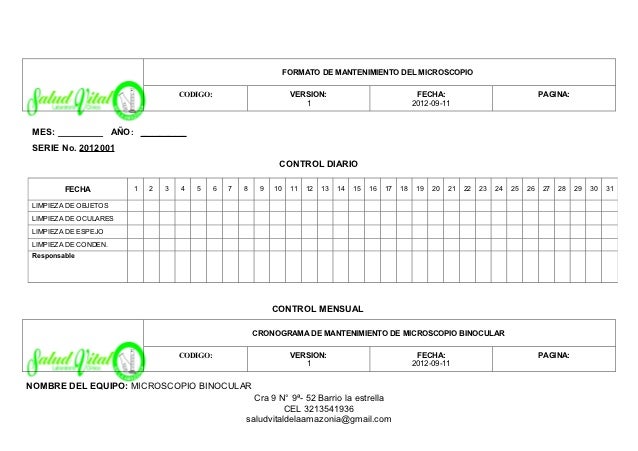 formato cronograma de actividades mensual
