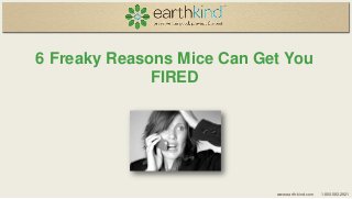 6 Freaky Reasons Mice Can Get You
FIRED

www.earth-kind.com

1.800.583.2921

 