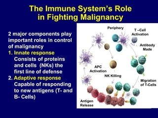 The Immune System’s Role
in Fighting Malignancy
2 major components play
important roles in control
of malignancy
1. Innate response
Consists of proteins
and cells (NKs) the
first line of defense
2. Adaptive response
Capable of responding
to new antigens (T- and
B- Cells)
Antibody
Made
Migration
of T-Cells
Periphery
Antigen
Release
NK Killing
APC
Activation
T –Cell
Activation
 