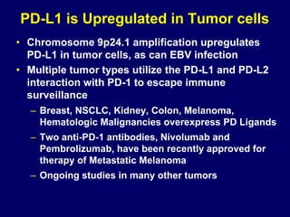 PD-L1 is Upregulated in Tumor cells
• Chromosome 9p24.1 amplification upregulates
PD-L1 in tumor cells, as can EBV infection
• Multiple tumor types utilize the PD-L1 and PD-L2
interaction with PD-1 to escape immune
surveillance
– Breast, NSCLC, Kidney, Colon, Melanoma,
Hematologic Malignancies overexpress PD Ligands
– Two anti-PD-1 antibodies, Nivolumab and
Pembrolizumab, have been recently approved for
therapy of Metastatic Melanoma
– Ongoing studies in many other tumors
 