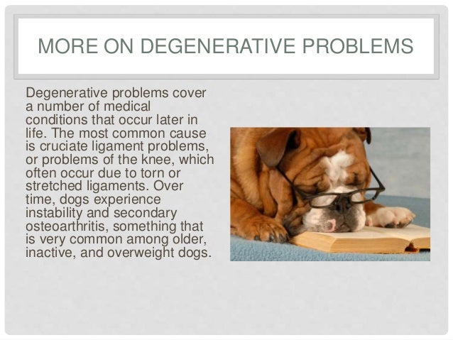 6 Frequently Asked Questions Regarding Joint Supplements ...