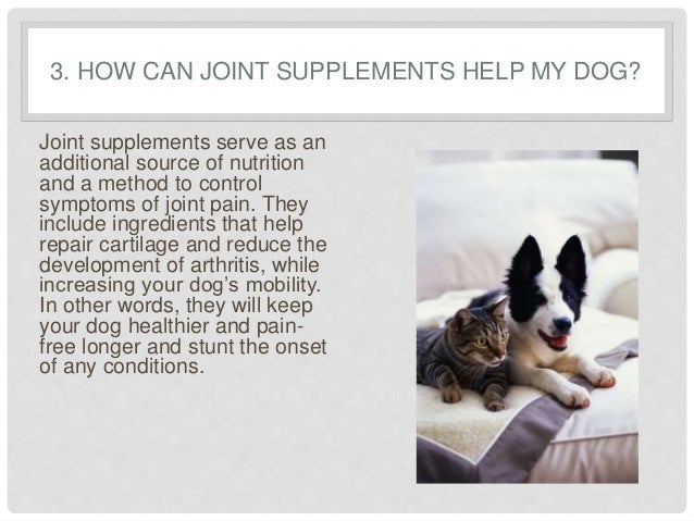 6 Frequently Asked Questions Regarding Joint Supplements ...