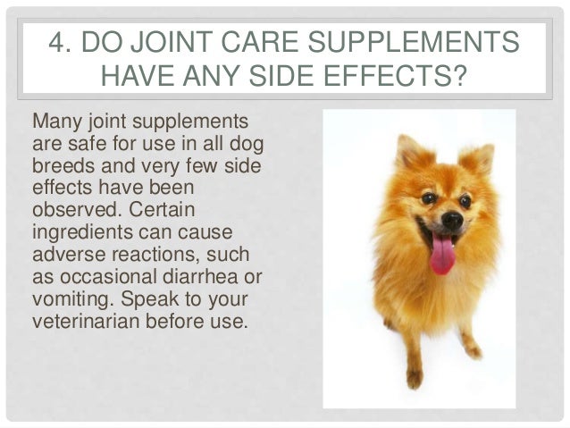 6 Frequently Asked Questions Regarding Joint Supplements ...