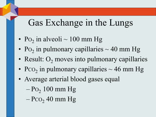 Gas Exchange in the Lungs
• PO2 in alveoli ~ 100 mm Hg
• PO2 in pulmonary capillaries ~ 40 mm Hg
• Result: O2 moves into pulmonary capillaries
• PCO2 in pulmonary capillaries ~ 46 mm Hg
• Average arterial blood gases equal
– PO2 100 mm Hg
– PCO2 40 mm Hg
 