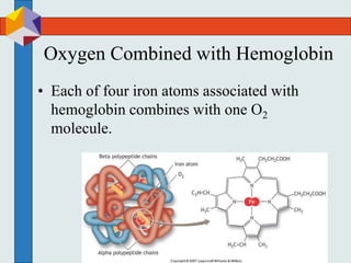 Oxygen Combined with Hemoglobin
• Each of four iron atoms associated with
hemoglobin combines with one O2
molecule.
 