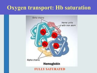 Oxygen transport: Hb saturation
O2
O2
O2 O2
FULLY SATURATED
 