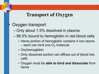 Transport of Oxygen
• Oxygen transport
– Only about 1.5% dissolved in plasma
– 98.5% bound to hemoglobin in red blood cells
• Heme portion of hemoglobin contains 4 iron atoms
– each can bind one O2 molecule
• Oxyhemoglobin
• Only dissolved portion can diffuse out of blood into
cells
• Oxygen must be able to bind and dissociate from
heme
 