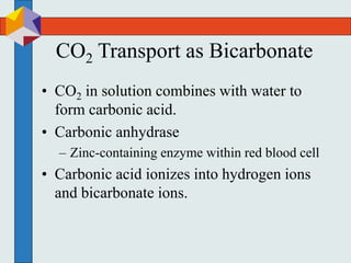 CO2 Transport as Bicarbonate
• CO2 in solution combines with water to
form carbonic acid.
• Carbonic anhydrase
– Zinc-containing enzyme within red blood cell
• Carbonic acid ionizes into hydrogen ions
and bicarbonate ions.
 