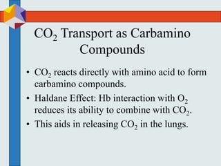 CO2 Transport as Carbamino
Compounds
• CO2 reacts directly with amino acid to form
carbamino compounds.
• Haldane Effect: Hb interaction with O2
reduces its ability to combine with CO2.
• This aids in releasing CO2 in the lungs.
 