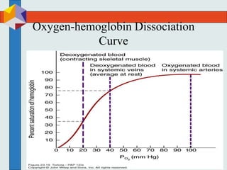 Oxygen-hemoglobin Dissociation
Curve
 