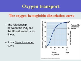 Oxygen transport
– The relationship
between the PO2 and
the Hb saturation is not
linear.
– It is a Sigmoid-shaped
curve
The oxygen-hemoglobin dissociation curve
 