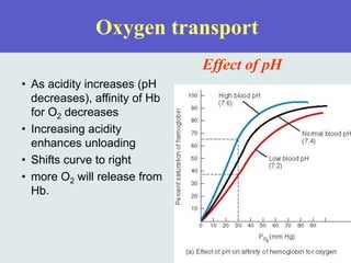 Oxygen transport
Effect of pH
• As acidity increases (pH
decreases), affinity of Hb
for O2 decreases
• Increasing acidity
enhances unloading
• Shifts curve to right
• more O2 will release from
Hb.
 