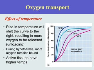 Oxygen transport
Effect of temperature
• Rise in temperature will
shift the curve to the
right, resulting in more
oxygen to be released
(unloading)
• During hypothermia, more
oxygen remains bound
• Active tissues have
higher temps
 