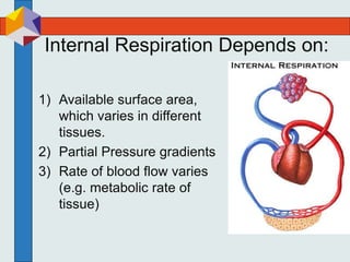 Internal Respiration Depends on:
1) Available surface area,
which varies in different
tissues.
2) Partial Pressure gradients
3) Rate of blood flow varies
(e.g. metabolic rate of
tissue)
 