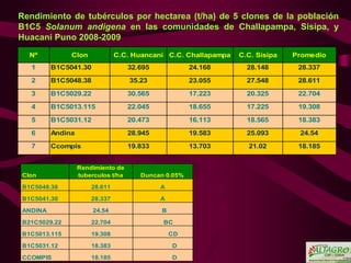 Nuevas variedades de papa Solanum tuberosum spp Andígena(B1C5), obtenidas a través de la selección varietal  participativa  por los agricultores de las comunidades del Altiplano, Puno -Perú Slide 32