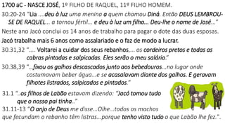 1700 aC - NASCE JOSÉ, 1º FILHO DE RAQUEL, 11º FILHO HOMEM.
30.20-24 “Lia ....deu à luz uma menina a quem chamou Diná. Então DEUS LEMBROU-
SE DE RAQUEL... a tornou fértil... e deu à luz um filho... Deu-lhe o nome de José...”
Neste ano Jacó conclui os 14 anos de trabalho para pagar o dote das duas esposas.
Jacó trabalha mais 6 anos como assalariado e o faz de modo a lucrar.
30.31,32 “.... Voltarei a cuidar dos seus rebanhos,... os cordeiros pretos e todas as
cabras pintadas e salpicadas. Eles serão o meu salário.”
30.38,39 “...fixou os galhos descascados junto aos bebedouros...no lugar onde
costumavam beber água...e se acasalavam diante dos galhos. E geravam
filhotes listrados, salpicados e pintados.”
31.1 “..os filhos de Labão estavam dizendo: “Jacó tomou tudo
que o nosso pai tinha..”
31.11-13 “O anjo de Deus me disse...Olhe...todos os machos
que fecundam o rebanho têm listras...porque tenho visto tudo o que Labão lhe fez.".
 