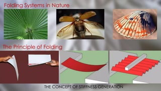 6 GEODESIC DOMES.pdf