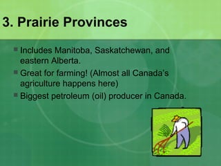 3. Prairie Provinces
 Includes Manitoba, Saskatchewan, and
eastern Alberta.
 Great for farming! (Almost all Canada’s
agriculture happens here)
 Biggest petroleum (oil) producer in Canada.
 