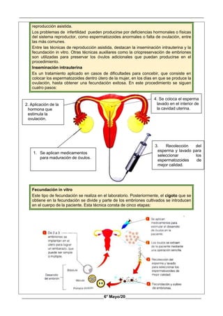 __________________________________________________________________________________________
________________________________________6° Mayo/20_____________________________________
reproducción asistida.
Los problemas de infertilidad pueden producirse por deficiencias hormonales o físicas
del sistema reproductor, como espermatozoides anormales o falta de ovulación, entre
las más comunes.
Entre las técnicas de reproducción asistida, destacan la inseminación intrauterina y la
fecundación in vitro. Otras técnicas auxiliares como la criopreservación de embriones
son utilizadas para preservar los óvulos adicionales que puedan producirse en el
procedimiento.
Inseminación intrauterina
Es un tratamiento aplicado en casos de dificultades para concebir, que consiste en
colocar los espermatozoides dentro útero de la mujer, en los días en que se produce la
ovulación, hasta obtener una fecundación exitosa. En este procedimiento se siguen
cuatro pasos:
Fecundación in vitro
Este tipo de fecundación se realiza en el laboratorio. Posteriormente, el cigoto que se
obtiene en la fecundación se divide y parte de los embriones cultivados se introducen
en el cuerpo de la paciente. Esta técnica consta de cinco etapas:
2. Aplicación de la
hormona que
estimula la
ovulación.
1. Se aplican medicamentos
para maduración de óvulos.
4. Se coloca el esperma
lavado en el interior de
la cavidad uterina.
3. Recolección del
esperma y lavado para
seleccionar los
espermatozoides de
mejor calidad.
 