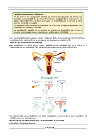 __________________________________________________________________________________________
________________________________________6° Mayo/21_____________________________________
La criopreservación de embriones
En las técnicas de reproducción asistida, se estimula la producción de óvulos para
aumentar la posibilidad de que haya fecundación. Después de la fecundación, los
cigotos se transforman en embriones, los que son implantados en el útero de la futura
madre o son criopreservados.
La criopreservación consiste en mantener los embriones a bajas temperaturas para
suspender sus funciones celulares.
La reproducción asistida es un conjunto de técnicas de laboratorio que ayudan a
producir un embarazo cuando se presentan problemas de infertilidad
 Los estudiantes forman grupos de trabajo y elige una de las técnicas de reproducción asistida,
para la posterior elaboración de una maqueta que explique su procedimiento.
Construcción y validación del prototipo
 Los estudiantes coordinan con su grupo y establecen los materiales que van a utilizar en la
elaboración de sus maquetas. Para ello se entrega imágenes de los procedimientos.
 Se recomienda a los estudiantes que sean cuidadosos en el armado de sus maquetas y no
olviden poner sus explicaciones.
Estructuración del saber construido como respuesta al problema
 Completan el mapa conceptual:
 