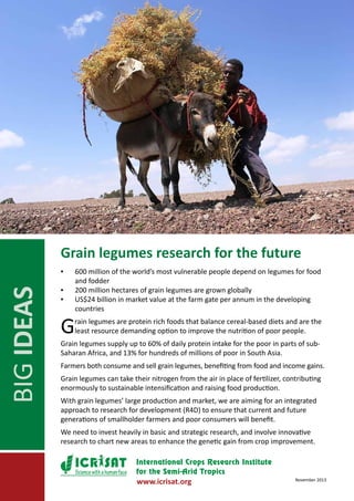 Grain legumes research for the future

BIG IDEAS

▪▪
▪▪
▪▪

G

600 million of the world’s most vulnerable people depend on legumes for food
and fodder
200 million hectares of grain legumes are grown globally
US$24 billion in market value at the farm gate per annum in the developing
countries

rain legumes are protein rich foods that balance cereal-based diets and are the
least resource demanding option to improve the nutrition of poor people.

Grain legumes supply up to 60% of daily protein intake for the poor in parts of subSaharan Africa, and 13% for hundreds of millions of poor in South Asia.
Farmers both consume and sell grain legumes, benefiting from food and income gains.
Grain legumes can take their nitrogen from the air in place of fertilizer, contributing
enormously to sustainable intensification and raising food production.
With grain legumes’ large production and market, we are aiming for an integrated
approach to research for development (R4D) to ensure that current and future
generations of smallholder farmers and poor consumers will benefit.
We need to invest heavily in basic and strategic research, and involve innovative
research to chart new areas to enhance the genetic gain from crop improvement.

Science with a human face

www.icrisat.org

November 2013

 