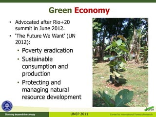 Green Economy And Furniture Value Chains Green Economy And Furniture Value Chains