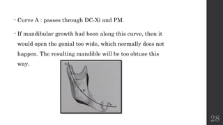 Obtuse Rude Way Comprehensive Methods and Models for Craniofacial Growth Prediction in ...