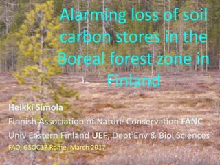 Alarming loss of soil
carbon stores in the
Boreal forest zone in
Finland
Heikki Simola
Finnish Association of Nature Conservation FANC
Univ Eastern Finland UEF, Dept Env & Biol Sciences
FAO, GSOC17 Rome, March 2017
 