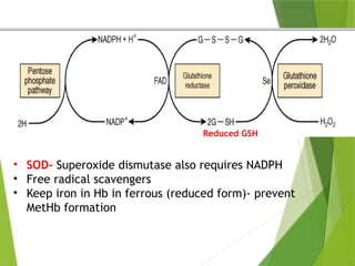 Reduced GSH
• SOD- Superoxide dismutase also requires NADPH
• Free radical scavengers
• Keep iron in Hb in ferrous (reduced form)- prevent
MetHb formation
 